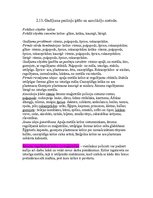 Referāts 'Lēmumu pieņemšanas metodes', 14.