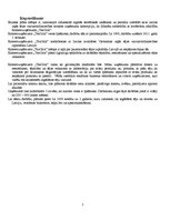 Biznesa plāns 'Biznesa plāns', 3.