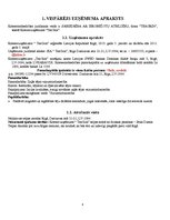 Biznesa plāns 'Biznesa plāns', 4.