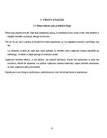 Biznesa plāns 'Biznesa plāns', 10.
