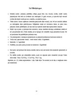 Biznesa plāns 'Biznesa plāns', 13.