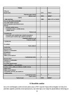 Biznesa plāns 'Biznesa plāns', 30.
