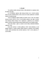 Referāts 'Virtuves kopšana', 3.