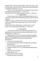 Referāts 'Virtuves kopšana', 10.