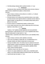 Referāts 'Virtuves kopšana', 13.