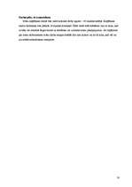 Biznesa plāns 'SIA "United copies" biznesa plāns', 30.