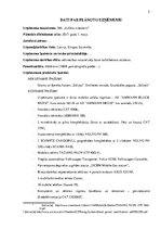 Biznesa plāns 'Biznesa plāns SIA "Asfalta inženieris"', 5.