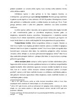 Biznesa plāns 'Biznesa plāns SIA "Asfalta inženieris"', 11.