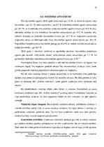 Biznesa plāns 'Biznesa plāns SIA "Asfalta inženieris"', 19.