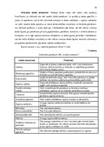 Biznesa plāns 'Biznesa plāns SIA "Asfalta inženieris"', 28.