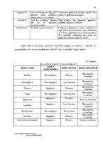 Biznesa plāns 'Biznesa plāns SIA "Asfalta inženieris"', 38.