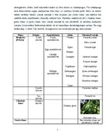 Referāts 'Kailsēkļu izplatība Latvijā', 5.