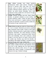 Referāts 'Kailsēkļu izplatība Latvijā', 8.