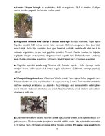 Referāts 'Kailsēkļu izplatība Latvijā', 12.