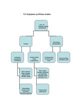 Referāts 'Projekts', 8.