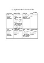 Referāts 'Projekts', 10.
