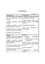 Referāts 'Projekts', 11.