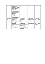 Referāts 'Projekts', 13.