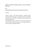 Biznesa plāns 'Muguras skola', 2.