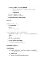 Biznesa plāns 'Muguras skola', 3.