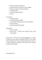 Biznesa plāns 'Muguras skola', 4.