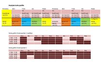 Biznesa plāns 'Muguras skola', 8.