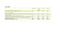 Biznesa plāns 'Muguras skola', 16.