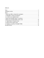 Referāts 'Darba tirgus attīstības tendences Latvijā', 2.