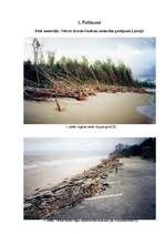 Referāts 'Latvijas gatavība stiprām vētrām - Erwin/Gudrun piemērs 2005.gada janvārī', 34.