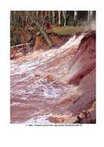 Referāts 'Latvijas gatavība stiprām vētrām - Erwin/Gudrun piemērs 2005.gada janvārī', 38.