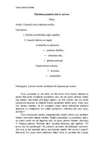 Eseja 'Mūsdienu jauniešu dzīves uztvere', 1.