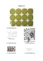 Referāts 'Ilūzijas', 1.