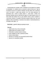 Referāts 'Ilūzijas', 13.