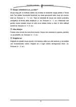 Referāts 'Ilūzijas', 16.