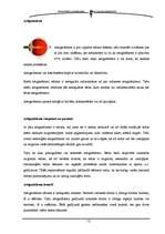 Referāts 'Ilūzijas', 23.