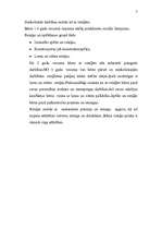 Referāts 'Mazbērna agrīnā posma raksturojums', 7.