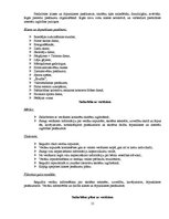 Prakses atskaite 'Sporta skolotāja kvalifikācija. 5.klase', 15.