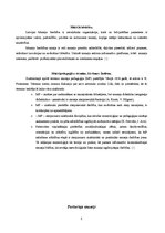 Referāts 'Muzeju pedagoģiskā darbība', 5.