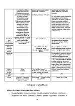 Referāts 'Muzeju pedagoģiskā darbība', 19.