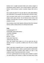 Referāts 'Eiropas Savienība', 11.