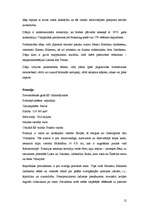 Referāts 'Eiropas Savienība', 12.