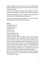 Referāts 'Eiropas Savienība', 14.