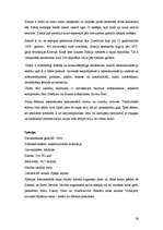 Referāts 'Eiropas Savienība', 26.