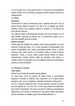 Referāts 'Eiropas Savienība', 33.