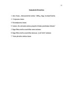 Prakses atskaite 'Prakse bērnu tiesību aizsardzības centrā', 11.