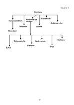 Prakses atskaite 'Prakses atskaite SIA "Tonus Elast"', 24.