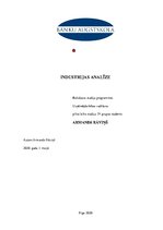 Biznesa plāns 'Industrijas analīze biznesa idejai', 1.