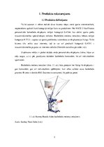 Biznesa plāns 'Industrijas analīze biznesa idejai', 5.