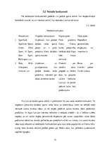 Biznesa plāns 'Industrijas analīze biznesa idejai', 15.