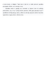 Eseja 'Konkurētspējīgas profesijas 030. gadā.', 2.